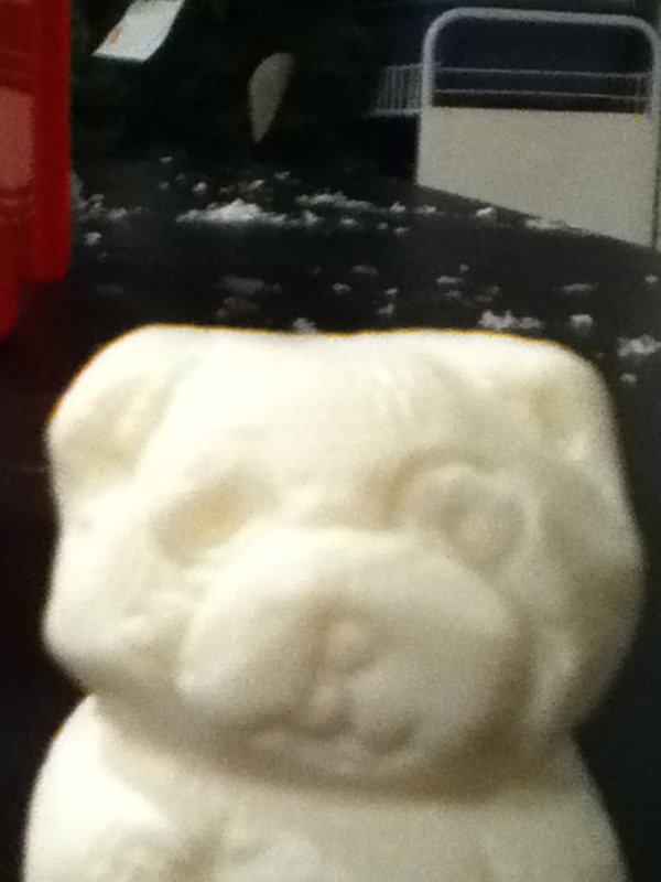 soap bear